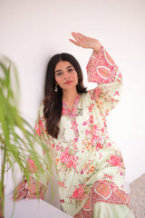 Dilruba Chic Pista 2-Piece Kurti Set 💖🌿