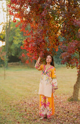 💫 Noor-e-Mehar – 2 Piece Kurti Set ( Dananeer)