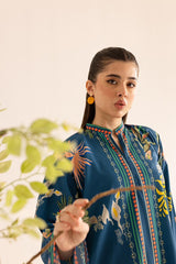 Chandni Chahat 🌙💖 2-Piece Kurti Set